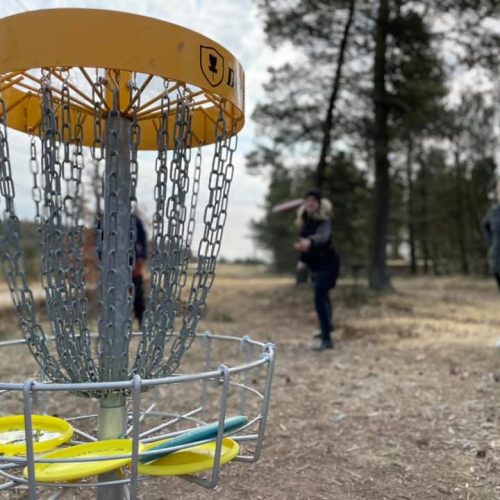 Den første aktiviteter - Tur gik til Momhøje, hvor børn kan lege i naturlegeplads mens andre, der vil gerne prøve discgolf.