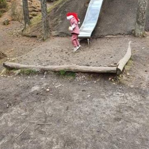 Den første aktiviteter - Tur gik til Momhøje, hvor børn kan lege i naturlegeplads mens andre, der vil gerne prøve discgolf.