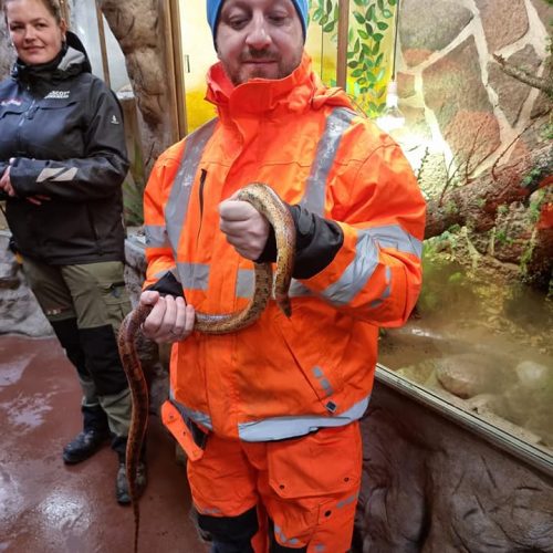 Gåtur i Jylland park zoo